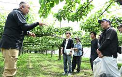 特産ナシ生産 園地維持へ