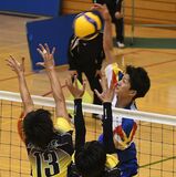 男子・作新vs足大付　女子・宇中女vs宇商　春高バレー県予選きょう決勝