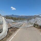 農業被害約1億2410円　那須塩原など6市町　1、2日の突風で