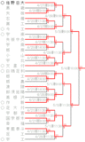 2019春　春季県高校野球大会トーナメント表