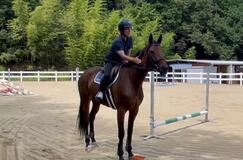 若手騎手の人生を変えた落馬事故。脳のダメージで記憶を失い、味覚もなし。執念で復帰したが…