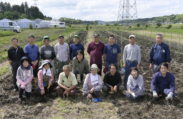 町オリーブ協議会の会員たち