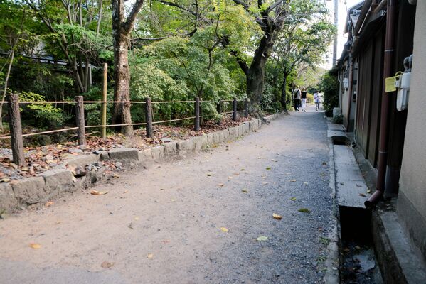 アスファルト舗装も検討されている哲学の道（京都市左京区）