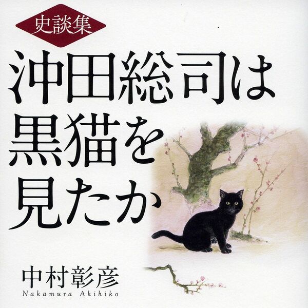 1986年 安房直子『三日月村の黒猫』絵・司修 昭和61年 Amazon.co.jp: 三日月村の黒猫 : 安房 直子, 修, 司: 本