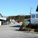 那須烏山の豚熱、業者と元取締役に罰金の略式命令　宇都宮簡裁　複数の豚突…
