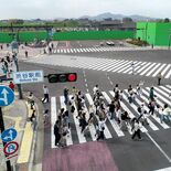 足利の「渋谷スクランブル交差点」舞台に交通訓練　園児ら200人「右、左…