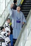 「相撲の良さ知って」