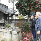100年前にあった「蛇様騒動」　小山　親心にじむエピソード
