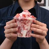 暑い夏も完熟イチゴ　シャリっと食感とフレッシュ感、「けずりいちご」人気　真岡
