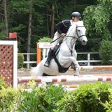 障害も困難も飛び越えて　能登半島地震チャリティー兼ねた馬術大会　那須塩原で９日まで