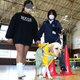 盲導犬の役割知って　栃木第四小で体験教室　４年生34人理解深める