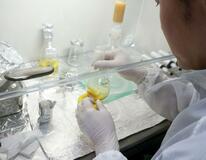 小惑星ベンヌの試料に尿素