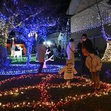 トナカイやツリー照らす42000個のLED　那須烏山・山あげ会館前で恒例のイルミネーション