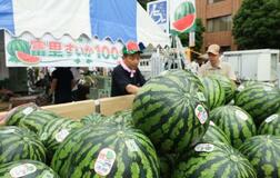 栽培１００年！スイカ一色に染まる町