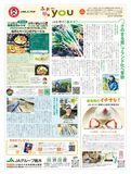 2024年2月18日（日）掲載面