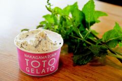 【食べた？】素材生かすフレーバー　クラフトジェラート　イタリア料理 ｔｏｔｏ（那珂川）