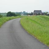 逃走したピットブル２匹とも捕獲　栃木市内の路上と住宅テラスで発見　被害なく住民ら安堵