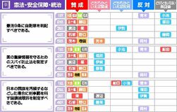 9条自衛隊明記 13人賛成