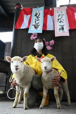 命名された「むさし」（左）と「かな」
