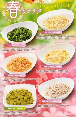 「春のサラダ」６種類を載せたチラシ