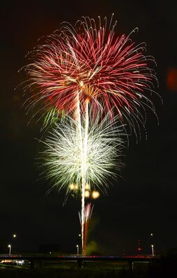 佐久山地区の夜空を彩る花火