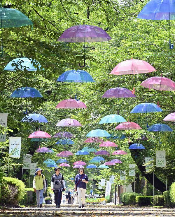 桜並木を彩るカラフルなビニール傘=19日午前10時40分、那須塩原市千本松、永嶌理絵撮影
