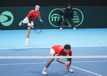 デビス杯、日本は２回戦に進めず