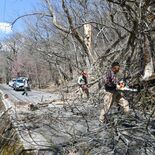 宇都宮の突風「ダウンバースト」の可能性　風速推定40m　2日も強風、倒…