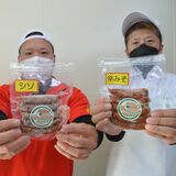 うまみ、詰まってます　イノシシソーセージ新商品　那珂川