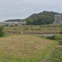 足利市のクマ目撃、年間最多を更新 渡良瀬川や市街地周辺で相次ぐ 遭遇の男性「イノシシとは違う」 痕跡つかめず市は苦慮