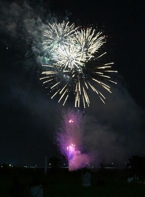 夜空に打ち上げられた花火