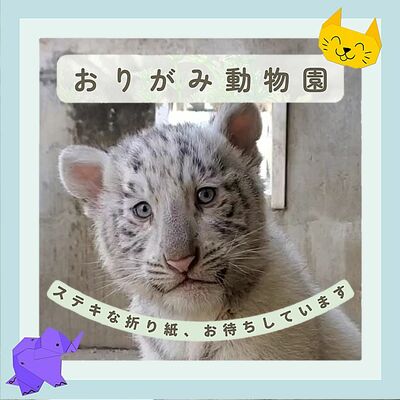 宇都宮動物園のＸに投稿されている折り紙募集画像（同園提供）