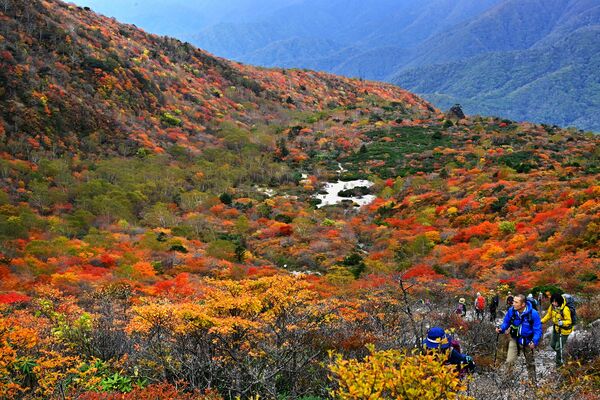 紅葉が見頃を迎え、色鮮やかに染まった姥ケ平周辺＝13日午前10時20分、那須町湯本