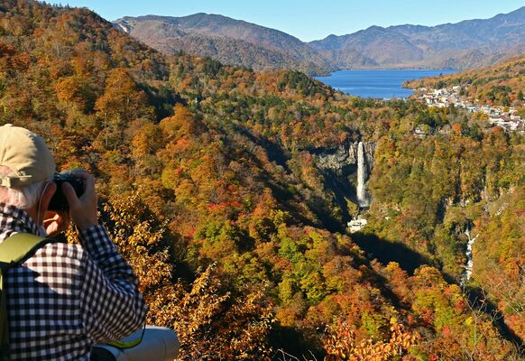 色づいた木々で彩られる華厳の滝周辺＝26日午前９時、明智平展望台