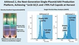 AAVnerGene社、次世代単一プラスミドAAV生産プラットフォーム…