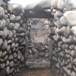 川原石の玄門そのまま　完全な状態、県内初確認　壬生の藤井23号墳