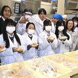 10分で100個完売 かんぴょうの原料「ユウガオ」使ったアンパン 栃木…