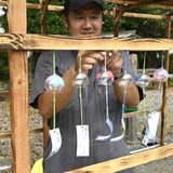 「茂木風鈴まつり」、初の夜間ライトアップ　小中高生が600個超絵付け　19日まで八雲神社で開催