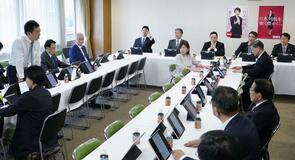 苦肉の折衷案 先見えず