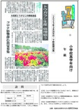 トウガラシ生産  倍増狙う