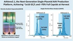 AAVnerGene社、次世代単一プラスミドAAV生産プラットフォーム「AAVone(R)2.1」を発表 ~収穫時に約1e16 GC/Lおよび70%以上の完全キャプシドを達成