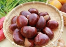 【購入特典付き】毎年大好評の兵庫・丹波の秋の味覚「丹波栗」の予約販売開始！