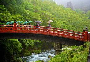 新緑が深まる中、結婚式で神橋を渡る人たち＝７日午前11時55分、日光市山内
