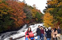 紅葉 名瀑彩る 竜頭の滝　日光
