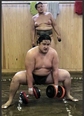 九州場所に向けて筋力トレーニングに励む若ノ勝（手前）＝常盤山部屋（常盤山部屋提供）