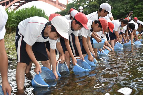 ウグイの成魚を放流する児童