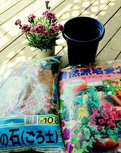 植え替え方法