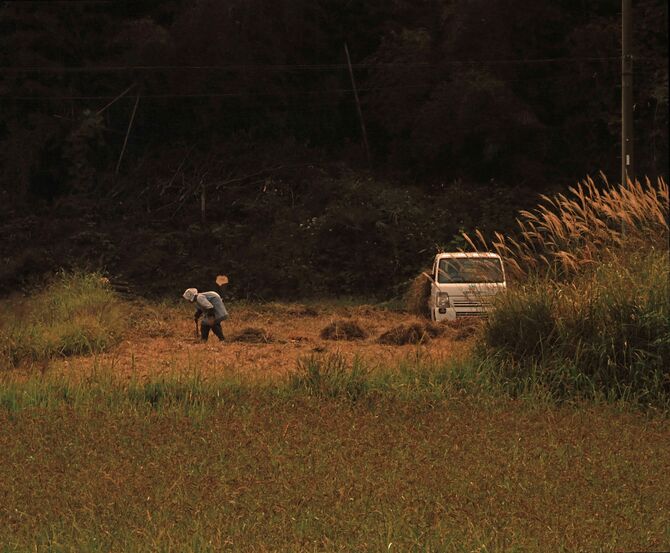 入選「晩秋、ふる里の母」鈴木泉（鹿沼）