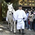神馬が参拝者をお迎え 7日まで日光東照宮で「神厩奉仕」