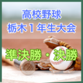 高校野球・栃木県1年生大会決勝 文星付が5年ぶり王者 日下田が猛打賞の活躍、桜田は7回1失点完投